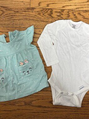 Baby Girl Outfit Bundle - Carter's Bunny Tunic & Gerber Bodysuit, Size 12M